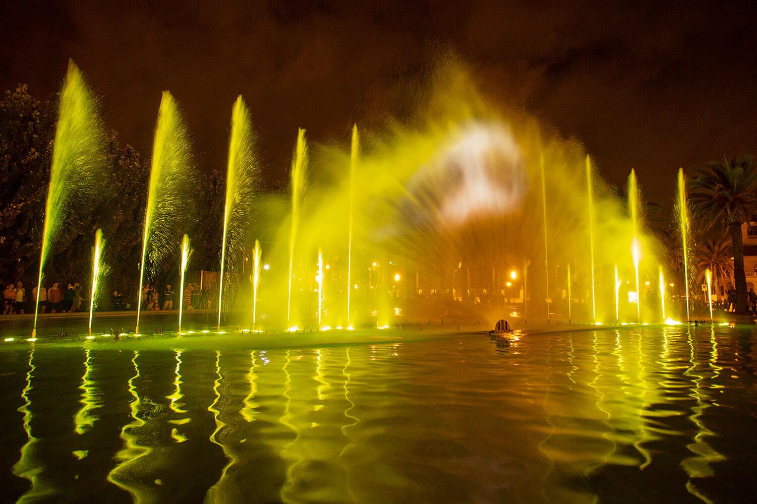 Servicio-Show-de-agua.jpg